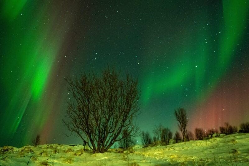 Tromsø: Small-Group Adventurous Northern Lights Hunt - Good To Know