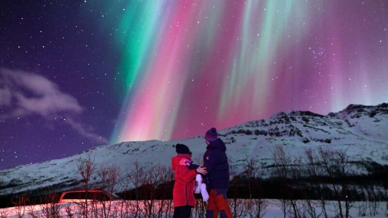 Tromsø: Small-Group Aurora Tour with Free Photos (8 Hours) - Good To Know