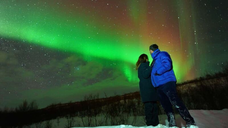Tromsø: Small-Group Aurora Tour with Free Photos (8 Hours) - Who Is This Tour Best For?