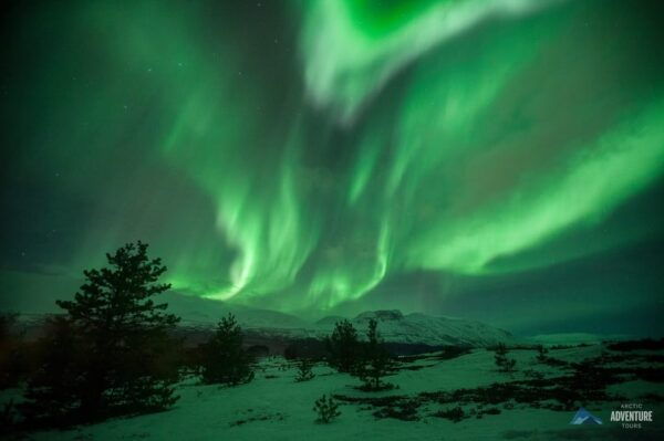 Tromsø: Small Group Northern Lights Hunt - Explore Tromsø
