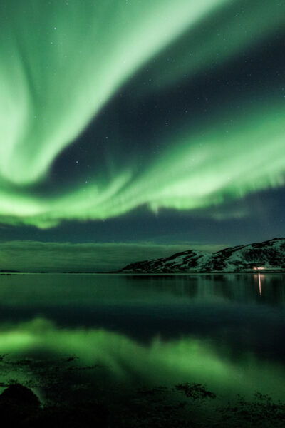 Tromsø: Small Group Northern Lights Hunt - Contact and Inquiries