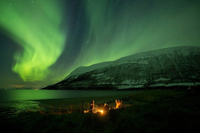 Tromsø: Small Group Northern Lights Hunt - Tour Details
