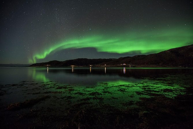 Tromsø: Small Group Northern Lights Hunt - Reviews