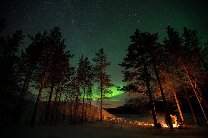 Tromsø: Small Group Northern Lights Hunt - Cancellation Policy
