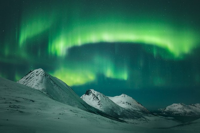 Tromsø: Small Group Northern Lights Hunt - The Sum Up