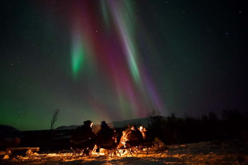 Tromsø: Small-Group Northern Lights Tour by Minibus - What makes this tour worth considering?