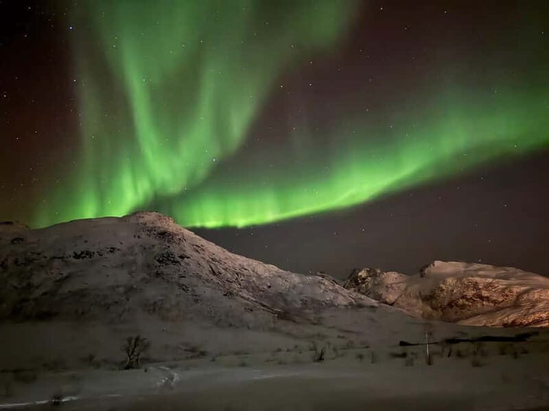 Tromsø: Small-Group Northern Lights Tour by Minibus - How does this tour compare value-wise?