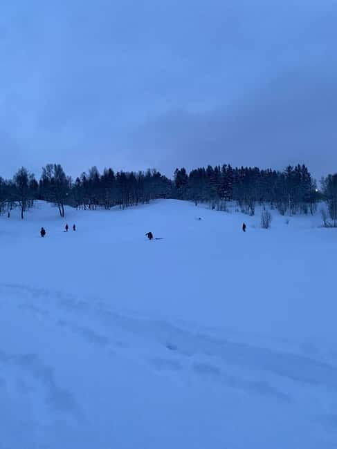 Tromsø: Snow Sledding, Mini Skiing, Lasso and Reindeer Hides - Practical Tips for Your Visit