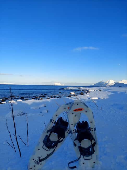 Tromsø: Snowshoe Hike to Lyngstuva Lighthouse with Lunch - What to Expect on the Snowshoe Hike to Lyngstuva Lighthouse