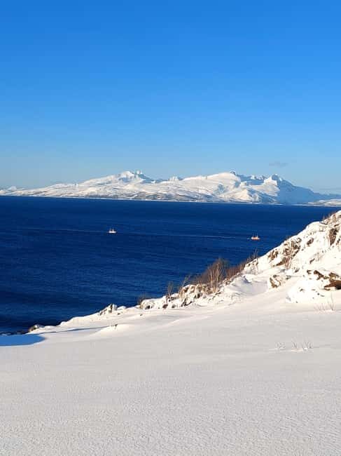 Tromsø: Snowshoe Hike to Lyngstuva Lighthouse with Lunch - Why This Tour Offers Great Value
