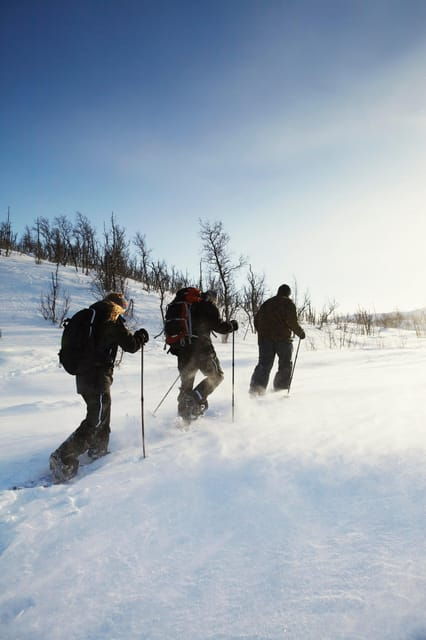 Tromsø: Snowshoe Hiking With a Campfire in Kvaløya - Inclusions and Exclusions