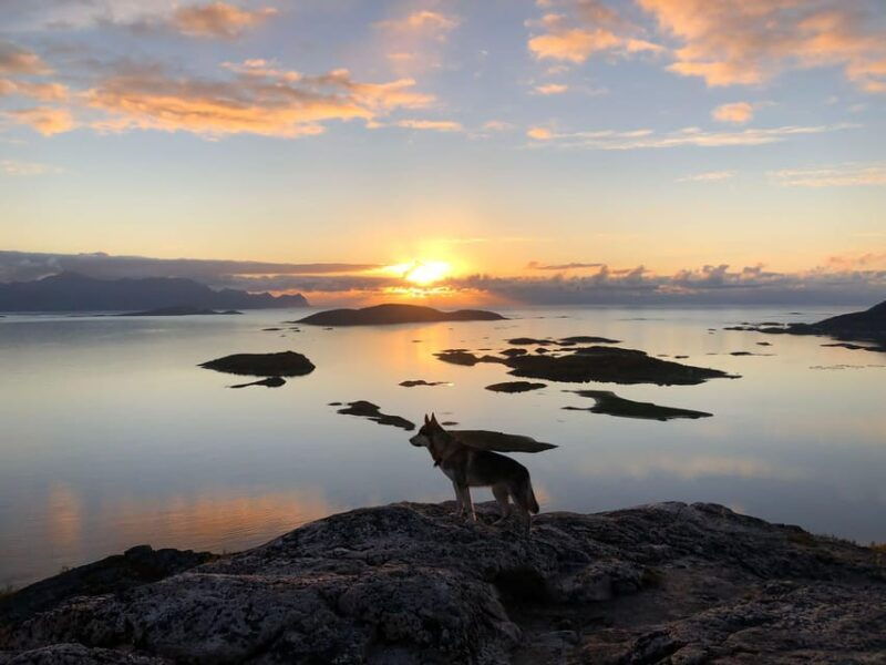 Tromsø: Sommarøy Islands Midnight Sun Tour - Practical Tips for Travelers
