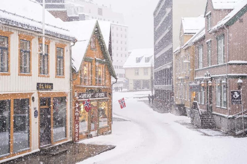 Tromsø: Spanish tour of the historic center and the Polar Museum - What Travelers Can Expect in Terms of Details and Comfort