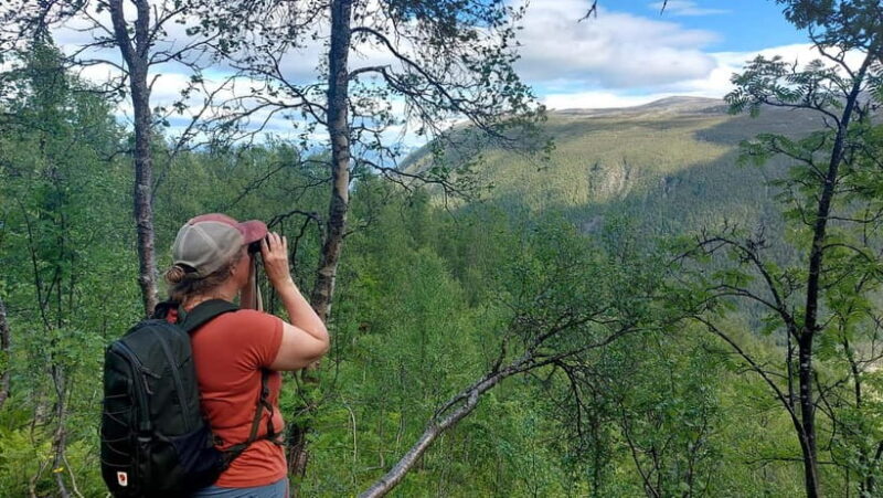 Tromsø Street to Summit: Fløya Mountain Guided Hike - Value and Practical Considerations