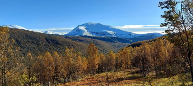 Tromsø Street to Summit: Fløya Mountain Guided Hike - Who Should Consider This Tour?