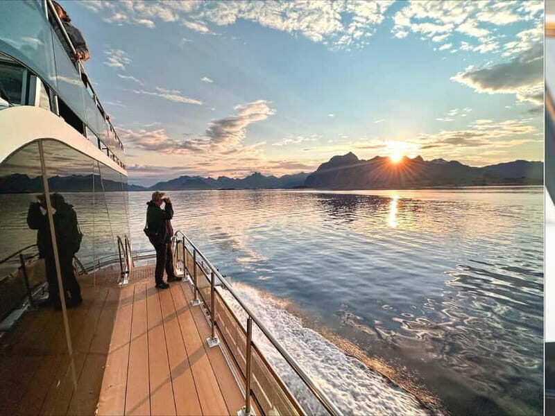 Tromsø: Summer Arctic Light Cruise with a Guide - The Value of the Experience