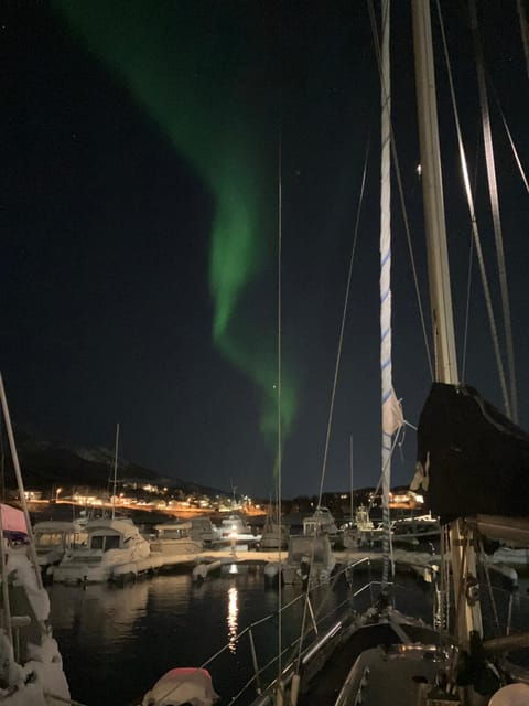 Tromsø: Take to Kaldfjord on a Sailboat - Good To Know