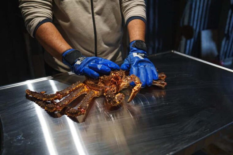 Tromsø: Tasty King Crab Adventure - Authentic Guest Perspectives
