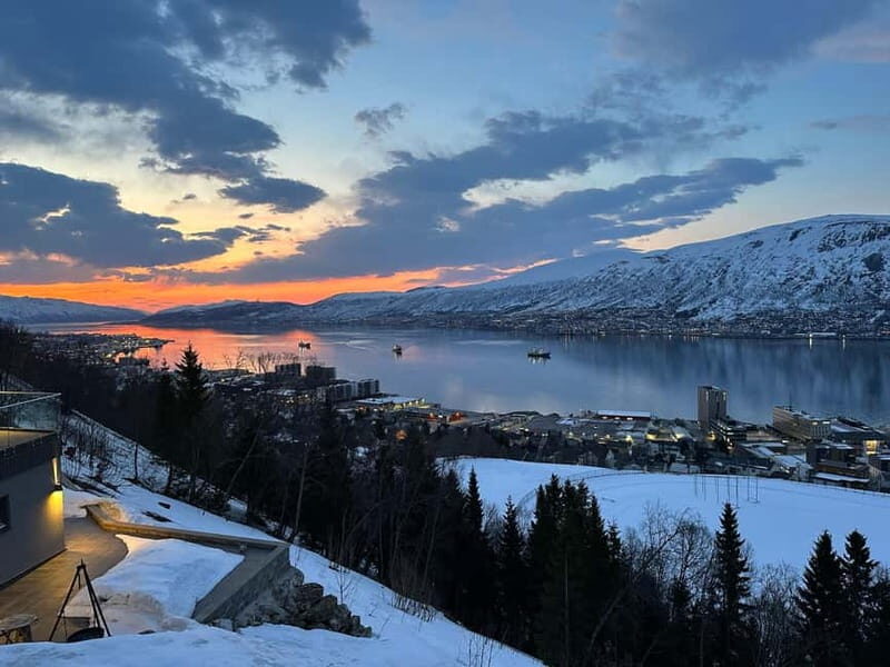 Tromsø: The View Panoramic Scenery and Local Delights - The Experience Itself: Views, Fire, and Food