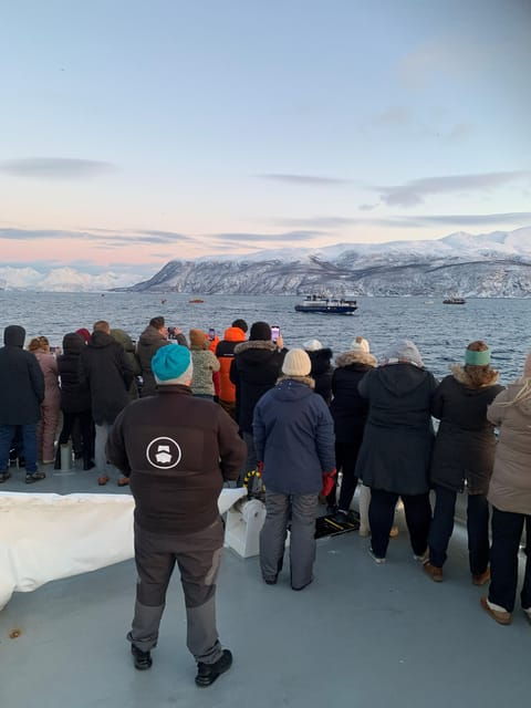 Tromsø Whale Safari with MS Keiser Wilhelm - The Verdict: Who Should Consider This Tour?