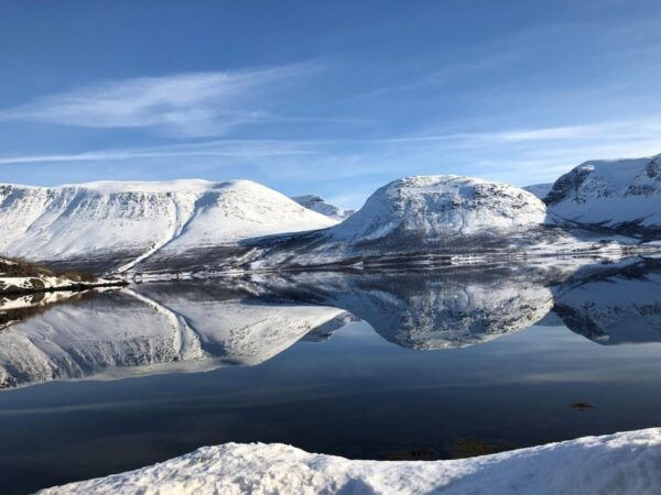 Tromsø Whale Safari With MS Trolltind Nordic - Arctic Coast Exploration