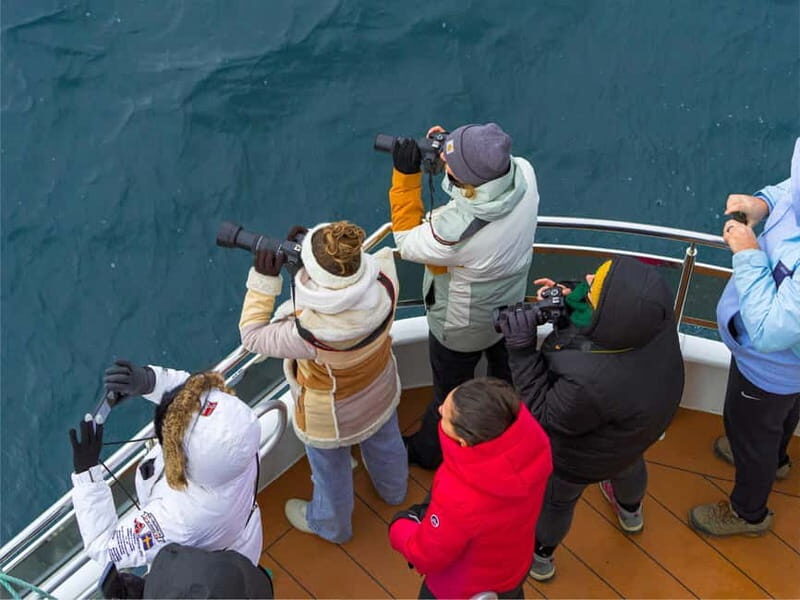 Tromsø: Whale Watching on hybrid boat with scenic bustrip - Who Should Consider This Tour?
