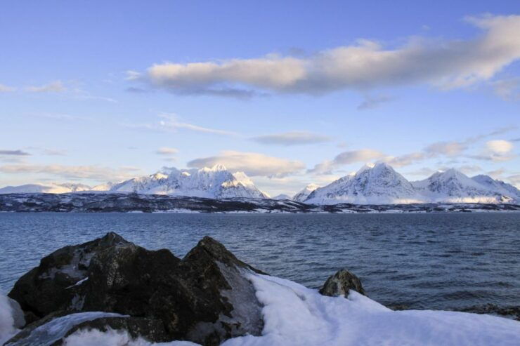 Tromsø: Wildlife Bird Fjord Cruise With Lunch and Drinks - Experience Highlights