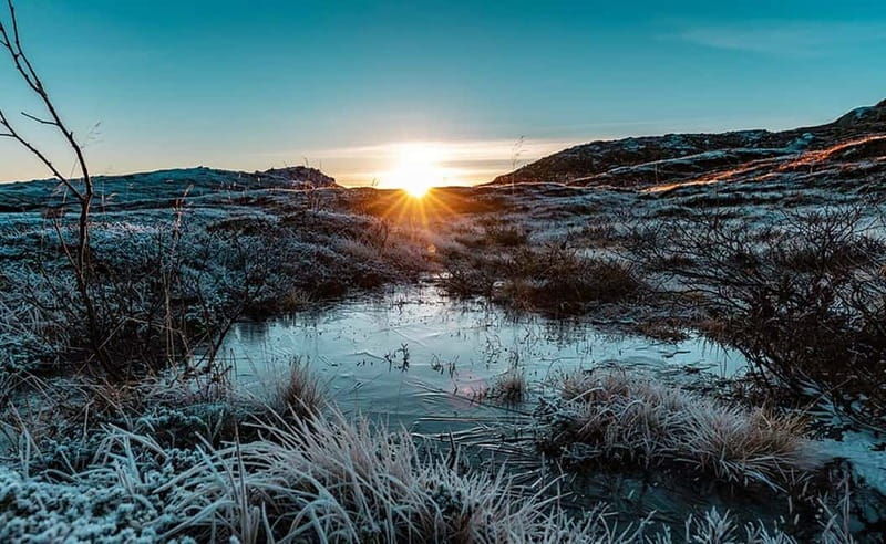 Tromsø: Winter Fjord Road Trip with Citizen Science - The Value: Price, Experience, and Sustainability