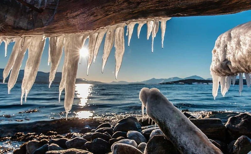 Tromsø: Winter Fjord Road Trip with Citizen Science - Who Will Love This Tour?