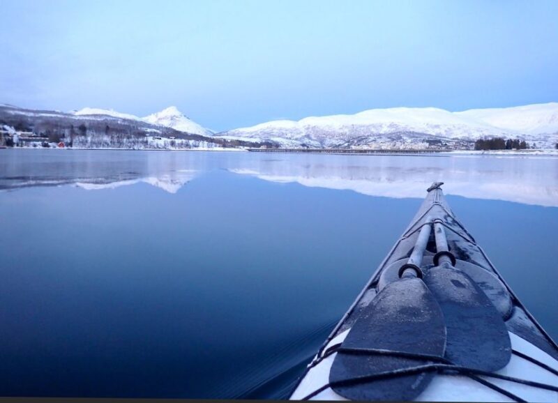 Tromsø: Winter Sea Kayaking Tour with Wildlife Sightings - An In-Depth Look at Tromsø’s Winter Sea Kayaking Experience
