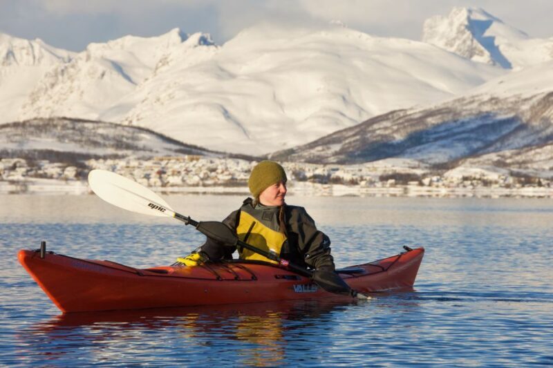 Tromsø: Winter Sea Kayaking Tour with Wildlife Sightings - Why This Tour Offers Great Value