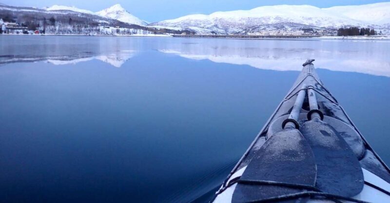 Tromsø: Winter Sea Kayaking Tour with Wildlife Sightings - FAQ