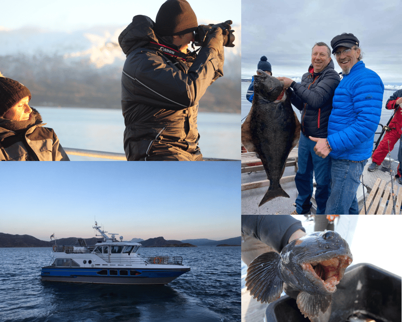 Tromsøs Top-Rated Fjord & Fishing Cruise  All-Inclusive - The Value of the Experience
