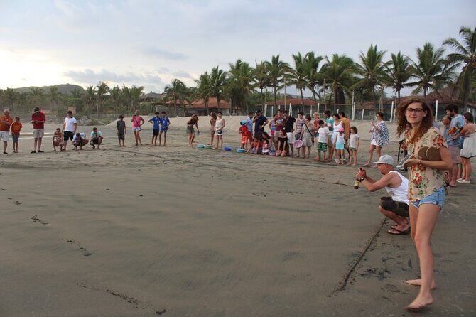 Troncones, Manzanillo Bay and Majahua Beach Tour - Good To Know