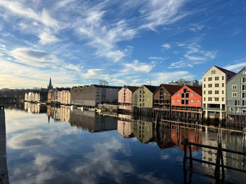 Trondheim: Audio Guide Panorama Bustour - Good To Know