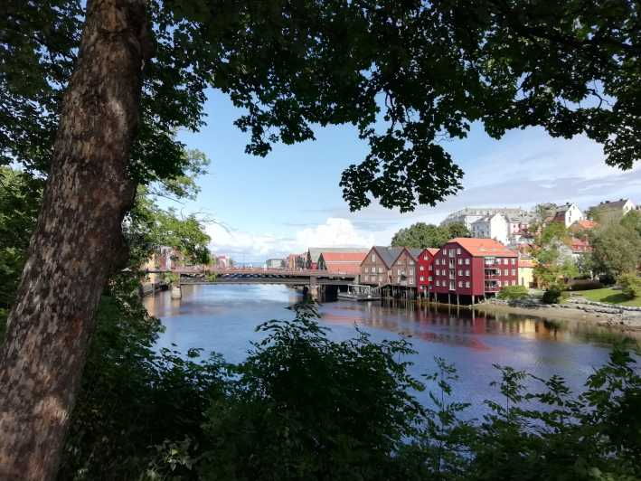 Trondheim : Explore the City of Kings With a Local Guide - Highlights and Itinerary