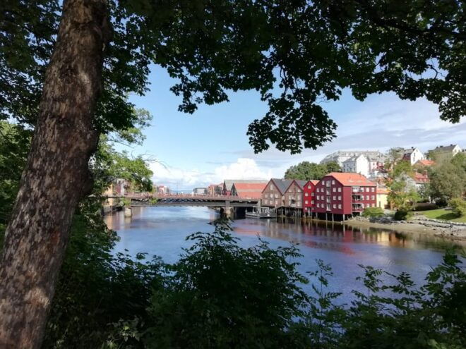 Trondheim : Explore the City of Kings With a Local Guide - Pricing and Discounts