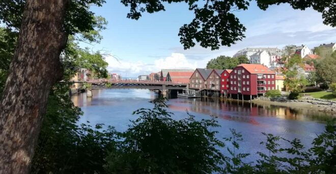 Trondheim : Explore the City of Kings With a Local Guide - Customer Feedback