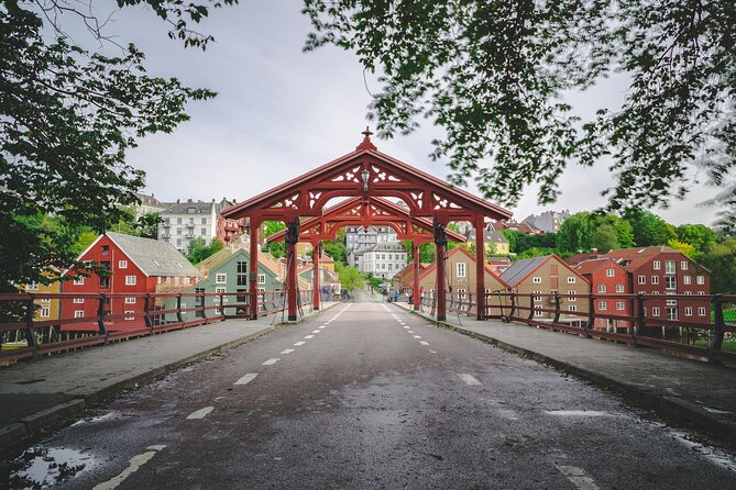 Trondheim Private Walking Tour - Tour Itinerary
