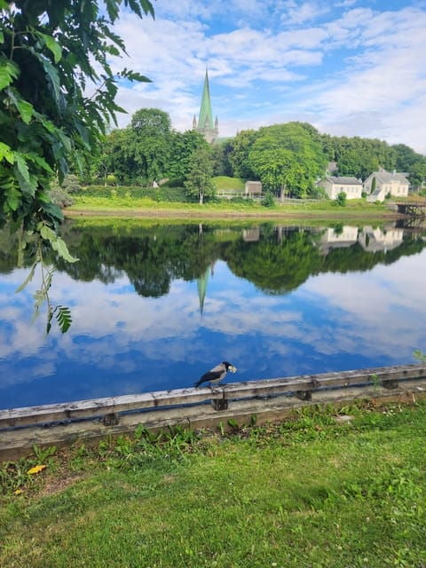 Trondheim(Cityguide Tour) - Good To Know