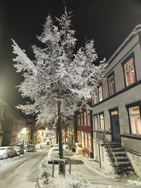 Trondheim(Cityguide Tour) - Highlights