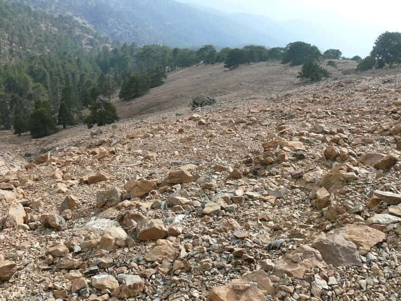 Troodos walking trip - Good To Know