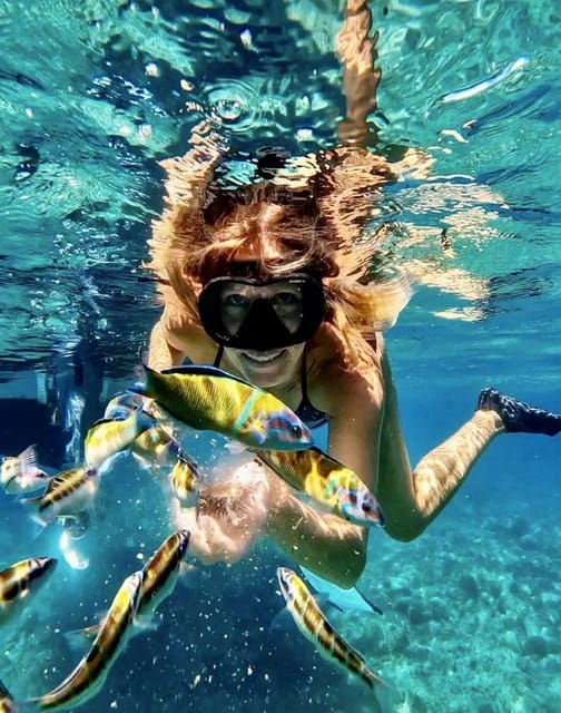 Tropea: Boat Tour on the Coast of the Gods - Maximum 12 People on Board - What to Prepare for Your Adventure