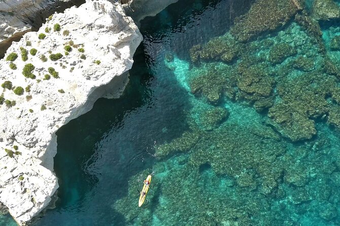 Tropea - Capo Vaticano Exclusive Boat Tour - Booking Information