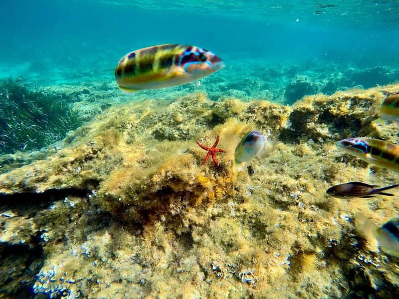 Tropea: escursione Max 8 People esclusive Costa degli Dei - Practical Tips & Considerations