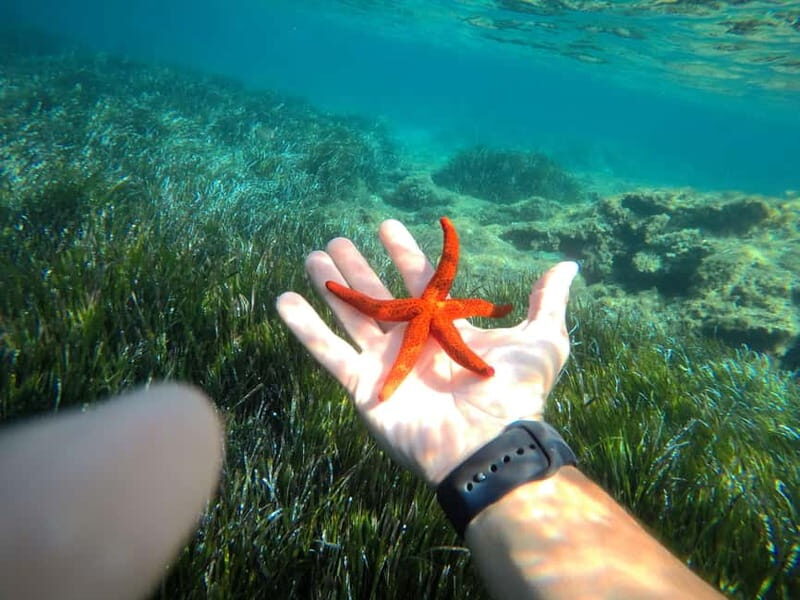 Tropea: escursione Max 8 People esclusive Costa degli Dei - Who Should Consider This Tour?