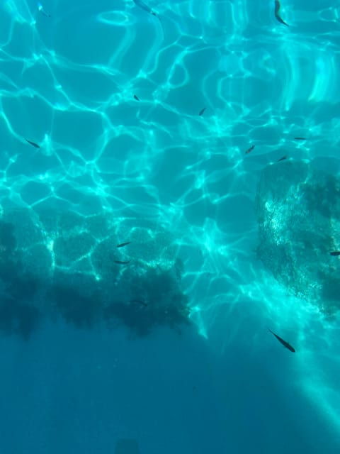 Tropea: Max 9 People Nice Tour From Tropea to Capovaticano - Booking Information
