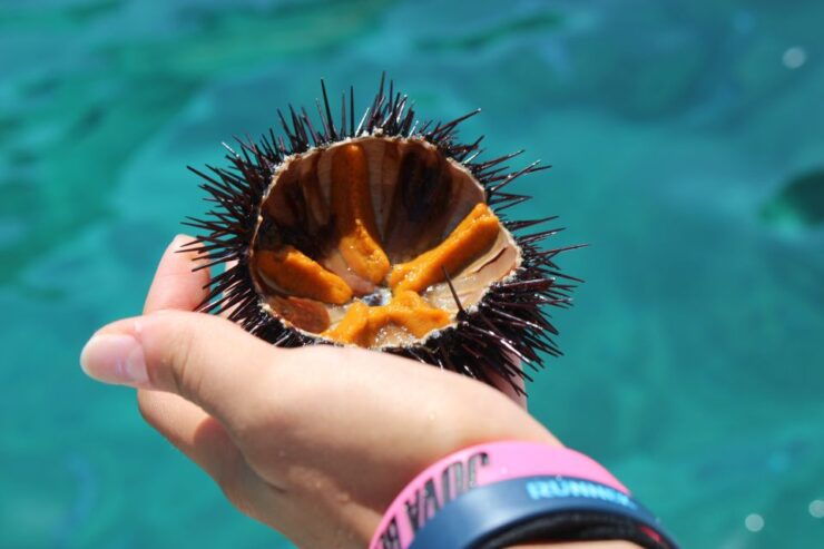 Tropea: Private Boat Rental With Skipper and Snacks - Pricing and Duration