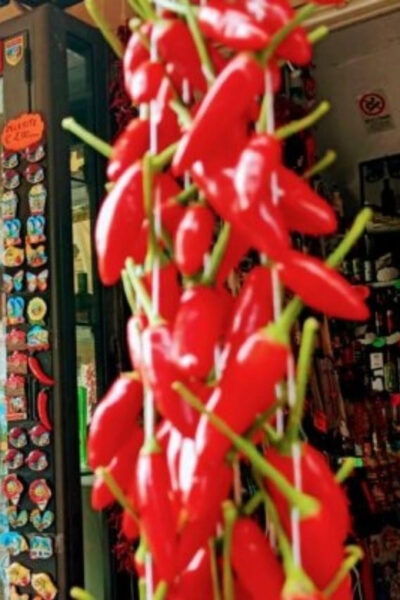 Tropea: Street Food Walking Tour - Frequently Asked Questions