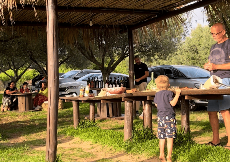 Tropea: Wine and Food Tasting - Good To Know
